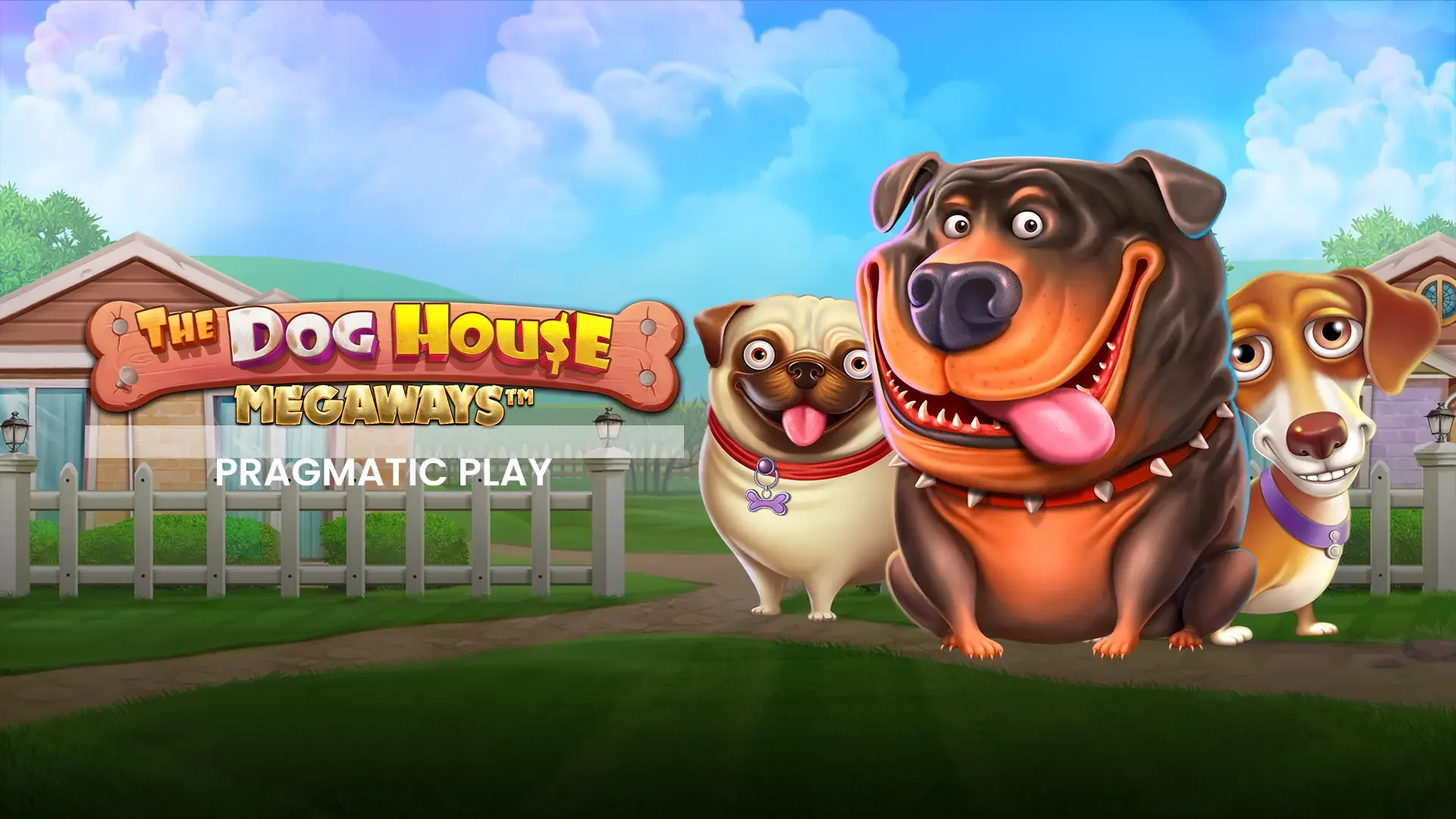 The Dog House. Megaways